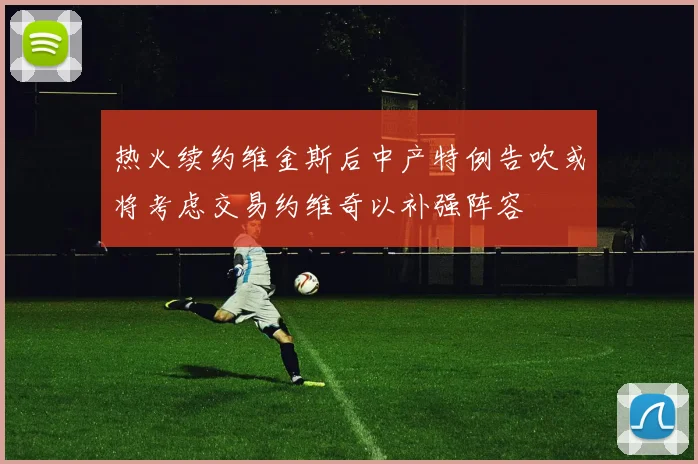 热火续约维金斯后中产特例告吹或将考虑交易约维奇以补强阵容